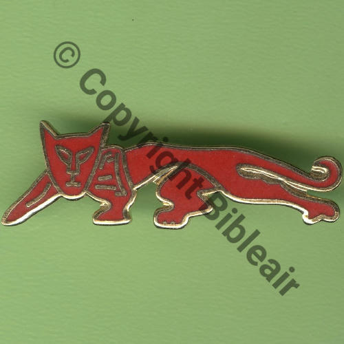 A0931  2008+ A0931 SAL.17 EH.1.67 PYRENEES CAZAUX 41x12mm  SM (PARIS INSIGNE) Tambour Dos lisse Src.Y.GENTY 10Eur09.09 